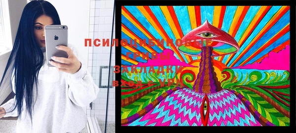 МДПВ Аркадак