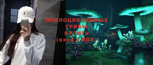 МДПВ Аркадак