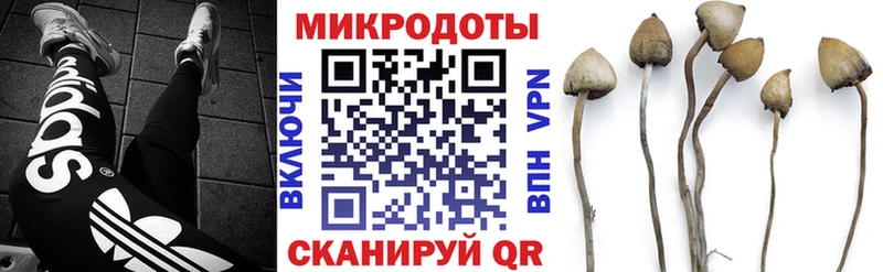 Галлюциногенные грибы мухоморы  KRAKEN ссылка  Пугачёв  сколько стоит 